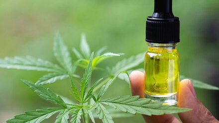 THE LEGAL LANDSCAPE OF CBD: UNDERSTANDING YOUR RIGHTS 